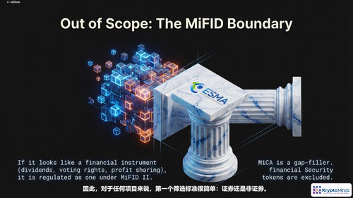 加密与金融科技企业管理者欧盟MiCA合规实战教程 (英文课程中文字幕)