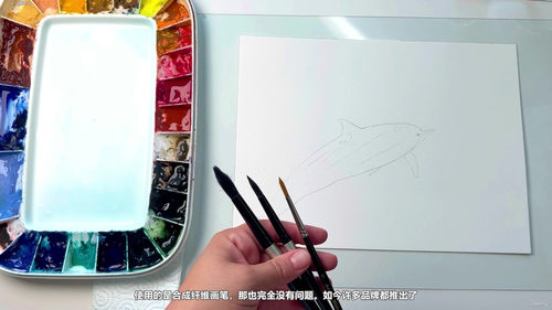 一步一步用水彩画海豚 (英文课程中文字幕)