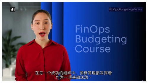 [中字] 企业级 FinOps 预算管理实战课程（中文字幕英