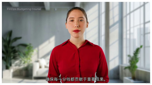[中字] 企业级 FinOps 预算管理实战课程（中文字幕英