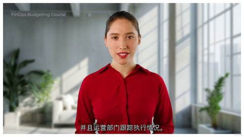 [中字] 企业级 FinOps 预算管理实战课程（中文字幕英