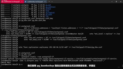 PostgreSQL高可用管理实战:从原生复制到自动故障转移 (英文课程中文字幕)