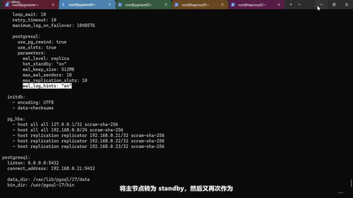 PostgreSQL高可用管理实战：从原生复制到自动故障转移 (英文课程中文字幕)