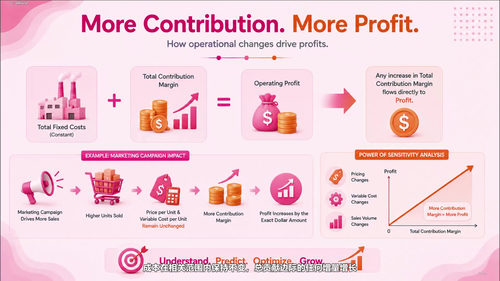 管理会计精要：成本核算、预算与决策分析 (英文课程中文字幕)