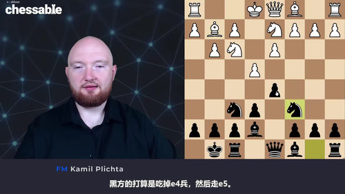 [中文配音]普利赫塔法国防御终身棋谱