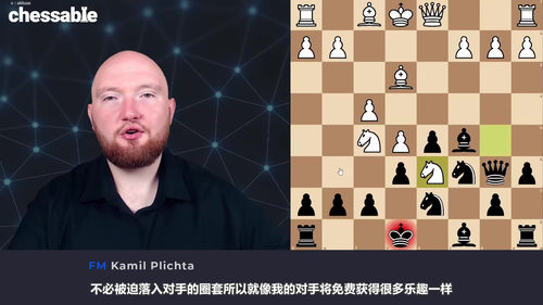 [中文配音]普利赫塔法国防御终身棋谱