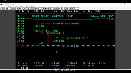 IBM大型机VSAM从入门到精通：KSDS、ESDS、AIX与COBOL-CICS联编实战 (英文课程中文字幕)