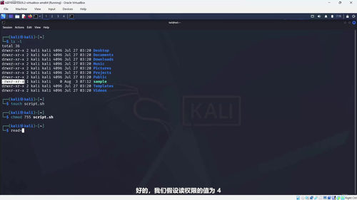 实战渗透测试训练营:从零开始的道德黑客入门课 (英文课程中文字幕)