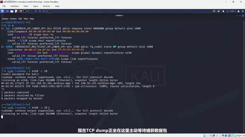 实战渗透测试训练营:从零开始的道德黑客入门课 (英文课程中文字幕)
