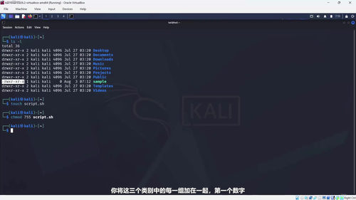 实战渗透测试训练营:从零开始的道德黑客入门课 (英文课程中文字幕)