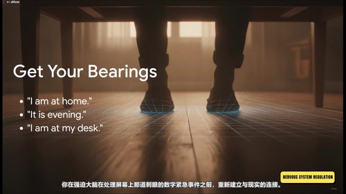 神经系统调节：用躯体工具化解日常压力 (英文课程中文字幕)