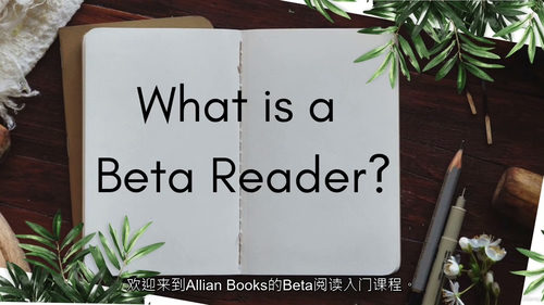 [中字] 如何成为一名 Beta 读者并助力作家成功（中文字