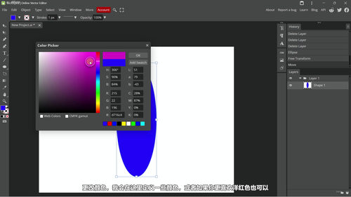 Vectorpea矢量图形设计完全教程 (英文课程中文字幕)