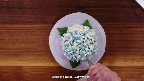 从花嘴到花瓣：掌握黄油奶油花制作 (英文课程中文字幕)