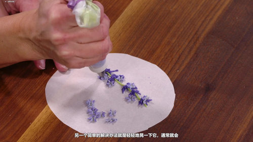 从花嘴到花瓣：掌握黄油奶油花制作 (英文课程中文字幕)