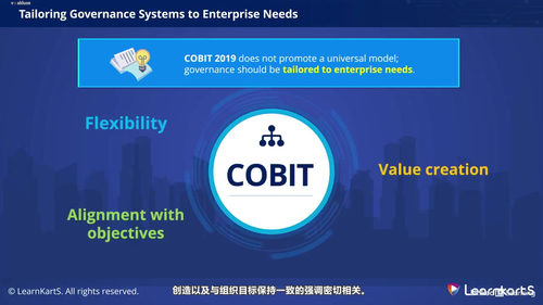 企业信息技术治理精要：COBIT 2019基础认证备考课 (英文课程中文字幕)