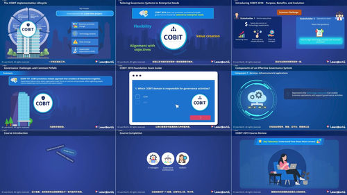 企业信息技术治理精要：COBIT 2019基础认证备考课 (英文课程中文字幕)