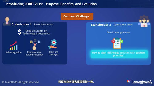 企业信息技术治理精要：COBIT 2019基础认证备考课 (英文课程中文字幕)