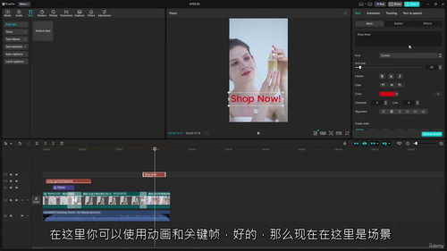 [中字] CapCut 课程：电影摄影、动态图形与社交媒体创