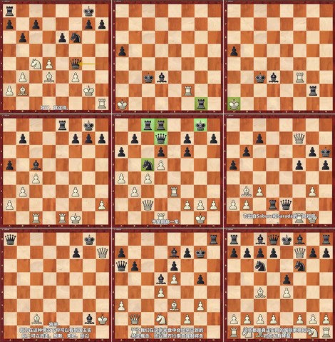 [中文配音]国际象棋将杀十级挑战课