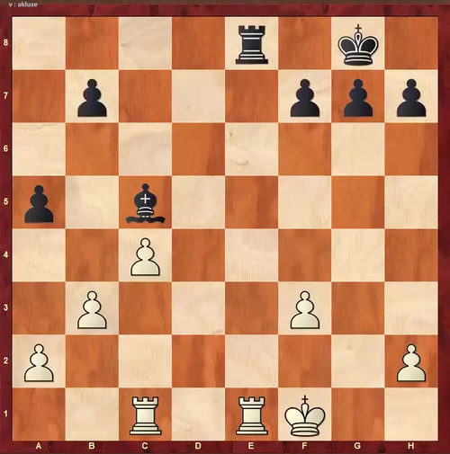 [中文配音]国际象棋将杀十级挑战课
