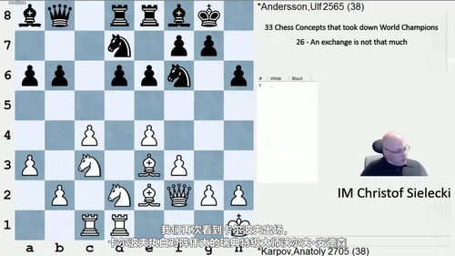 [中文配音]西莱茨基的三十三个国际象棋核心概念