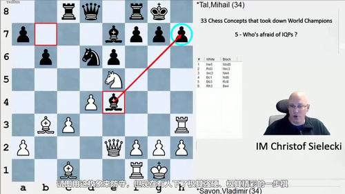 [中文配音]西莱茨基的三十三个国际象棋核心概念