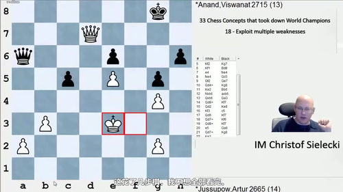 [中文配音]西莱茨基的三十三个国际象棋核心概念