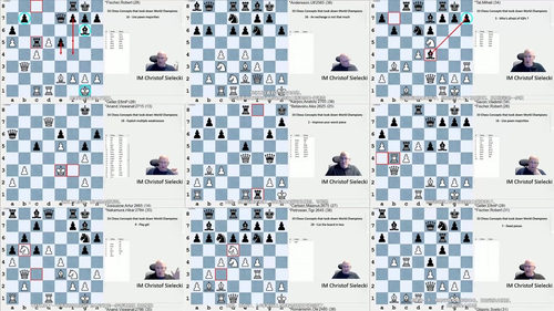 [中文配音]西莱茨基的三十三个国际象棋核心概念
