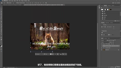 Photoshop全能实战课：从工具入门到创意设计 (英文课程中文字幕)