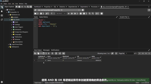 SQL与数据库工程全栈精讲 (英文课程中文字幕)