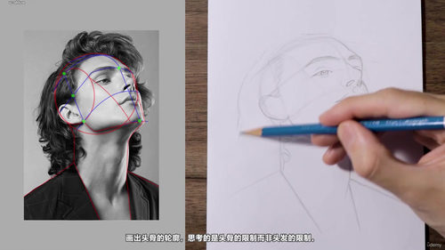 人像素描零基础精讲教程 (英文课程中文字幕)