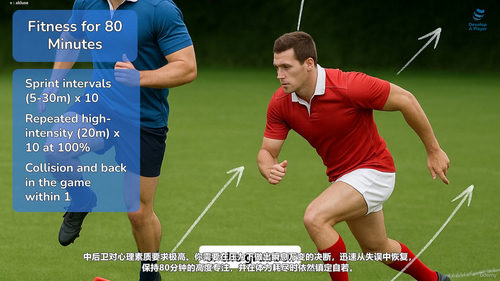 英式橄榄球内侧后卫职能详解 (英文课程中文字幕)