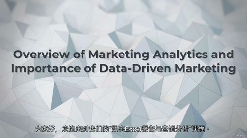 [中字] Excel 营销分析实战：动态报表与数据洞察（中文