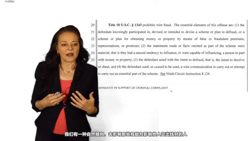 网络安全与刑事法律：必知要点 (英文课程中文字幕)