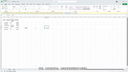 Excel函数与公式全能实战精通教程 (英文课程中文字幕)