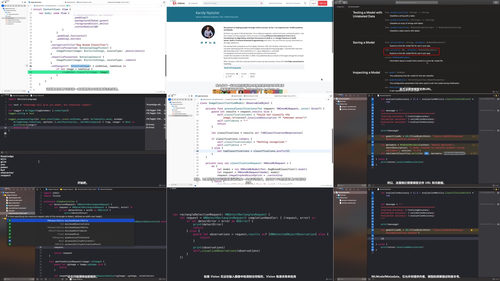 iOS端机器学习开发实战:Core ML与SwiftUI智能应用 (英文课程中文字幕)