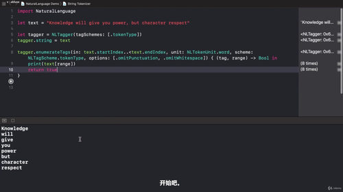 iOS端机器学习开发实战:Core ML与SwiftUI智能应用 (英文课程中文字幕)