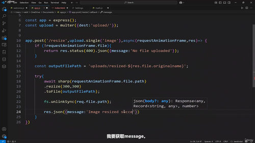 Node.js全栈工程师修炼指南 (英文课程中文字幕)