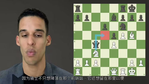 极简国际象棋战略实战精讲 (中文字英文视频教程)