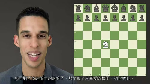 极简国际象棋战略实战精讲 (中文字英文视频教程)