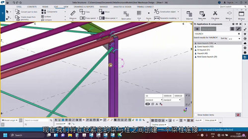 [中字] Tekla Structures 2024 基础入