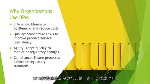 业务流程管理 —— 全面系统课程（中文字幕英文视频教程）