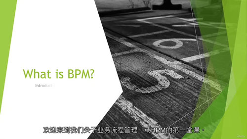 业务流程管理 —— 全面系统课程（中文字幕英文视频教程）