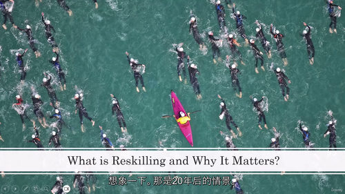 [中字] 组织技能重塑：打造面向未来的人才队伍（中文字幕英文