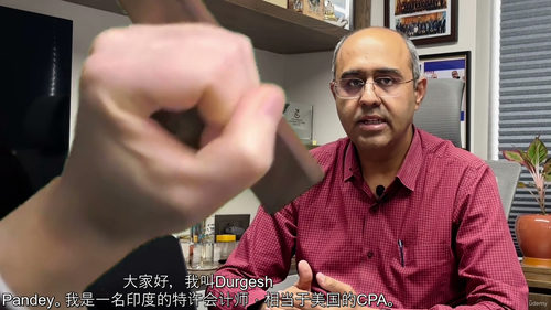[中字] 财务报表舞弊识别：法务会计实务（中文字幕英文视频教