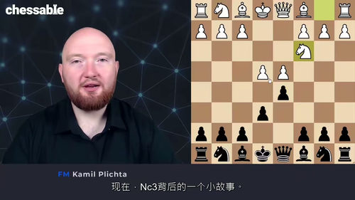 [中字] 国际象棋大师FM Kamil Plichta 法兰