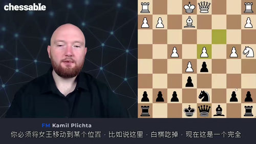 [中字] 国际象棋大师FM Kamil Plichta 法兰