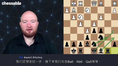 [中字] 国际象棋大师FM Kamil Plichta 法兰