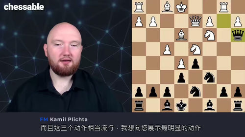 [中字] 国际象棋大师FM Kamil Plichta 法兰